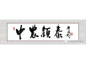 2021年：工作動(dòng)態(tài)，中農(nóng)穎泰工會(huì)順利換屆