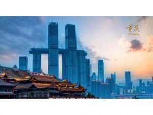 中農(nóng)穎泰集團(tuán)助力2021·太陽鳥論壇盛大開幕！