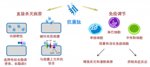 泰倍健——新型免疫增強劑，構(gòu)建核心抗病力